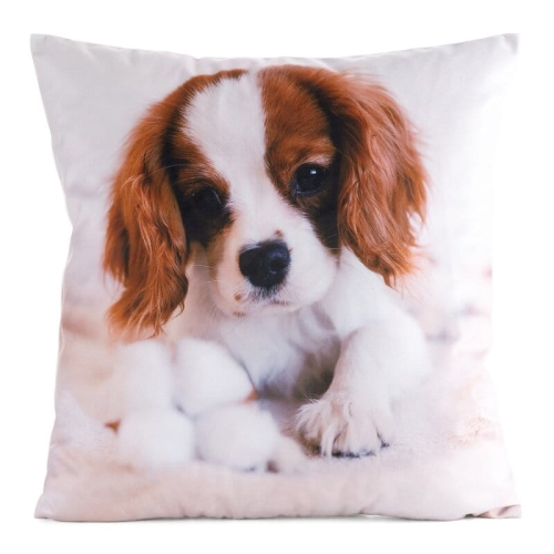 Poszewka Animals 45x45 Szczeniaczek Cavalier