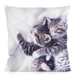 Poszewka Animals 45x45 Kotki