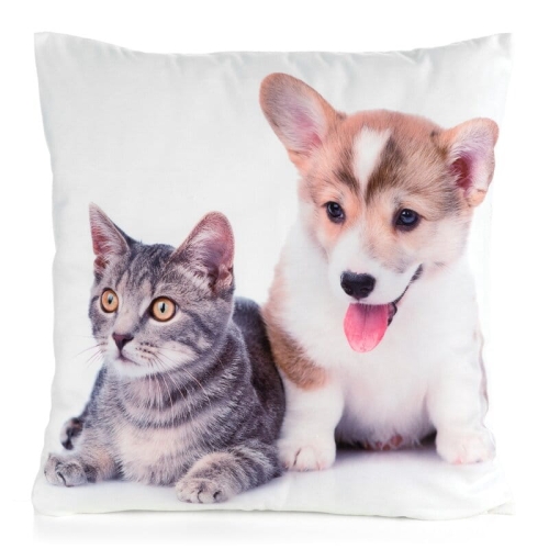 Poszewka Animals 45x45 Corgi i Kotek 
